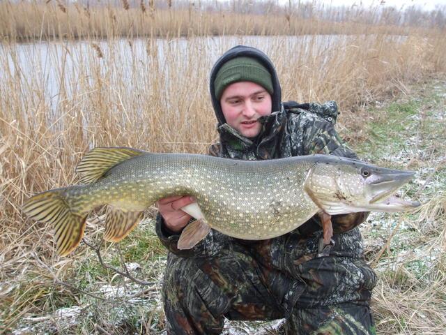 senzor peste tot - dscf0592r.jpg